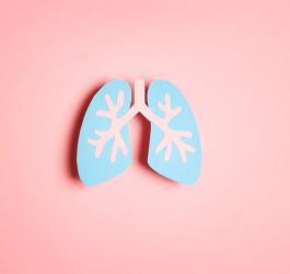 Wycięte z błękitnego papieru płuca.