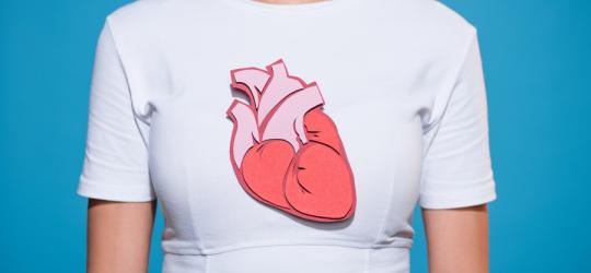 Kobieta w białym t-shircie. Na koszulkę naniesiono papierowy model ludzkiego serca.