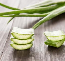 Aloes - najciekawsze właściwości zdrowotne