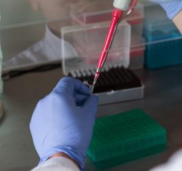 Diagnosta laboratoryjny wykonuje swoją pracę w laboratorium.