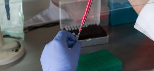 Diagnosta laboratoryjny wykonuje swoją pracę w laboratorium.