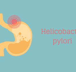 Bakteria helicobacter pylori