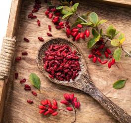 Świeże i suszone owoce berberysu, naturalnego źródła berberyny.