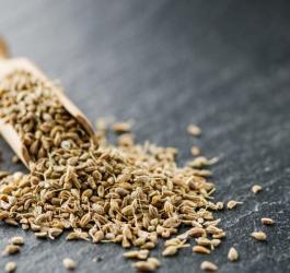 Nasiona biedrzeńca anyżu rozsypane na łupkowej podstawce.