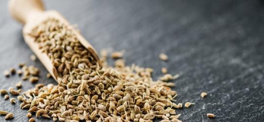 Nasiona biedrzeńca anyżu rozsypane na łupkowej podstawce.