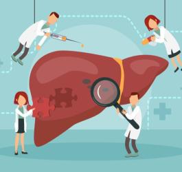 Rysunkowi lekarze badają i leczą chorą wątrobę.