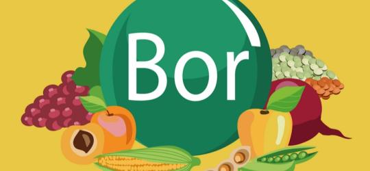 Symboliczne przedstawienie produktów bogatych w bor.