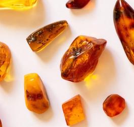 Kawałki bursztynu na białym tle.