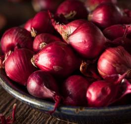 cebula na przeziębienie