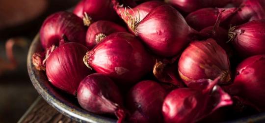 cebula na przeziębienie