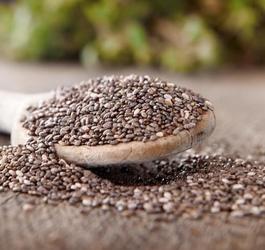 chia szałwia hiszpańska