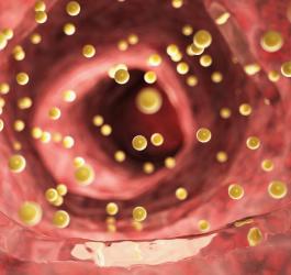 Cholesterol LDL w krwiobiegu.