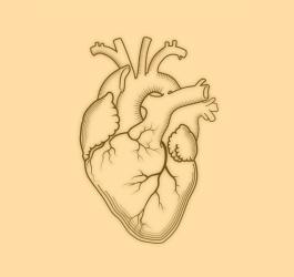 Choroba wieńcowa - jak przebiega i czy można się przed nią uchronić?