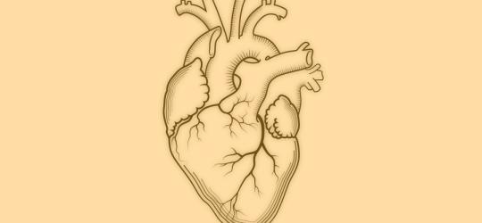 Choroba wieńcowa - jak przebiega i czy można się przed nią uchronić?