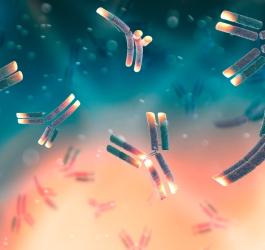 Grafika 3D. Przeciwciała występujące w chorobach autoimmunologicznych.