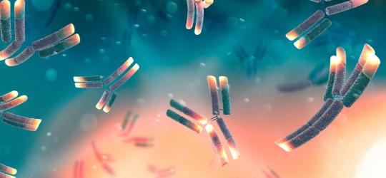 Grafika 3D. Przeciwciała występujące w chorobach autoimmunologicznych.