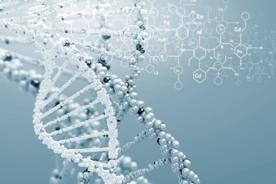 Model struktury DNA.