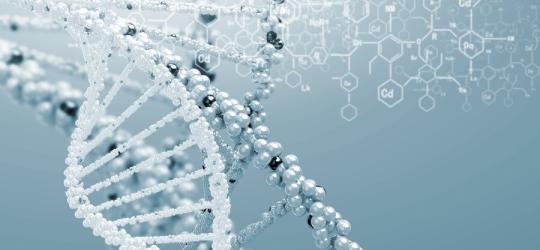 Model struktury DNA.