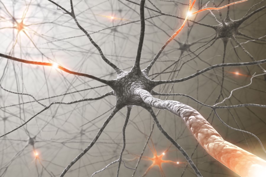 Grafika 3D neuronu przewodzącego impuls nerwowy.