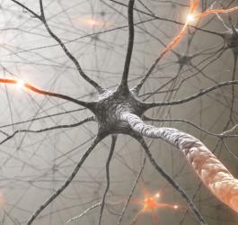 Grafika 3D neuronu przewodzącego impuls nerwowy.