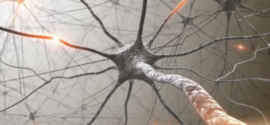 Grafika 3D neuronu przewodzącego impuls nerwowy.