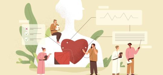 Rysunkowi lekarze diagnozują pacjenta pod kątem chorób układu krążenia.