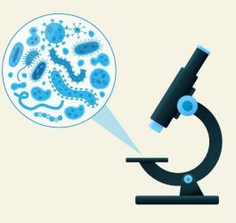 Model mikroskopu 2D i zbliżenie na bakterie i wirusy znajdujące się na szkiełku mikroskopowym.