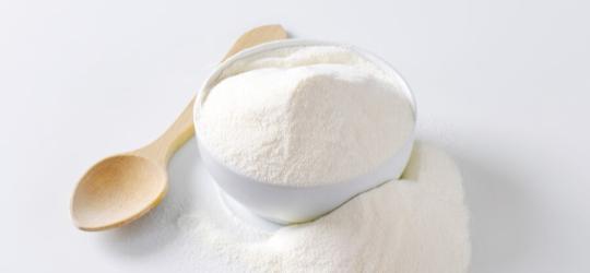 Sproszkowane colostrum w miseczce.