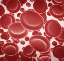 Czy grupa krwi powinna definiować naszą dietę?