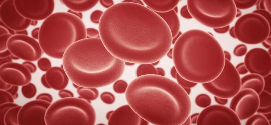 Czy grupa krwi powinna definiować naszą dietę?