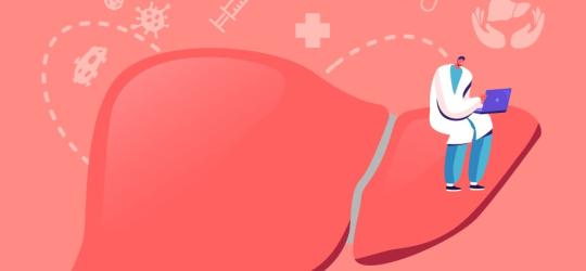 Rysunkowy model wątroby, na której siedzi diagnozujący ją lekarz.