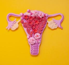 Papierowy model macicy na żółtym tle, koncept obrazujący endometriozę.