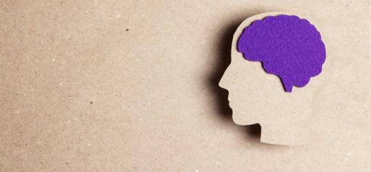 Kartonowy model głowy z mózgiem w kolorze fioletu - barwa ta symbolizuje epilepsję.