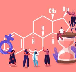 Rysunkowe postaci wykonują różne czynności przy wzorze chemicznym estradiolu.