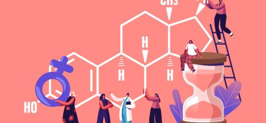 Rysunkowe postaci wykonują różne czynności przy wzorze chemicznym estradiolu.
