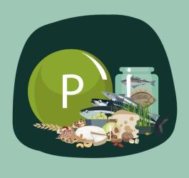 Źródła fosforu w diecie.