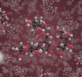 Cząsteczka glikogenu.