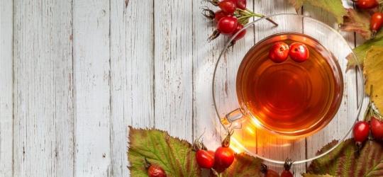 Głóg – właściwości zdrowotne