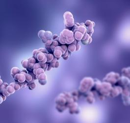 Model molekuły glukagonu w 3D.