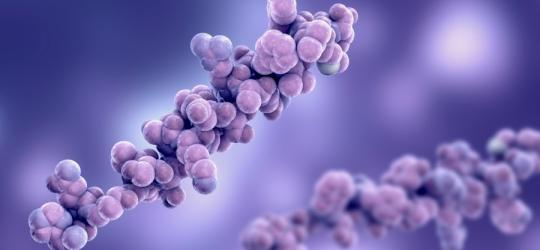 Model molekuły glukagonu w 3D.