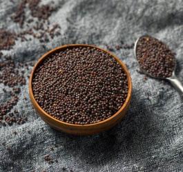 Nasiona gorczycy czarnej w miseczce.