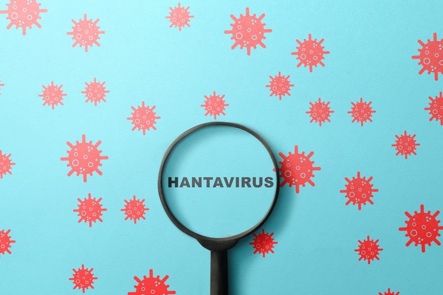 Napis hantawirus widoczny pod szkłem powiększającym, dookoła krążą wirusy.