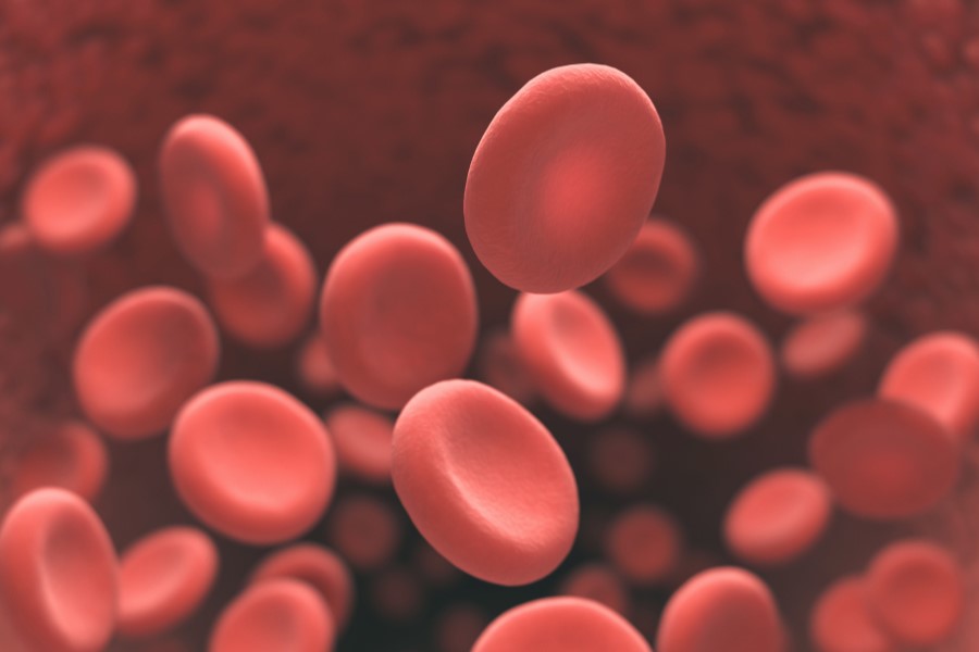 Erytrocyty zawierające hemoglobine, odpowiadającą za ich budowę, kształt oraz kolor krwi.