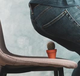 Mężczyzna próbuje usiąść na krześle, na którym leży kaktus, co ma symbolizować hemoroidy.