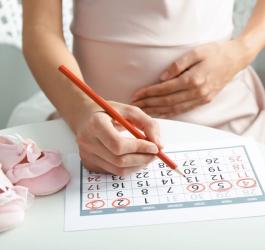 Kobieta w ciąży oblicza przy pomocy kalendarza termin porodu.