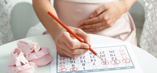 Kobieta w ciąży oblicza przy pomocy kalendarza termin porodu.