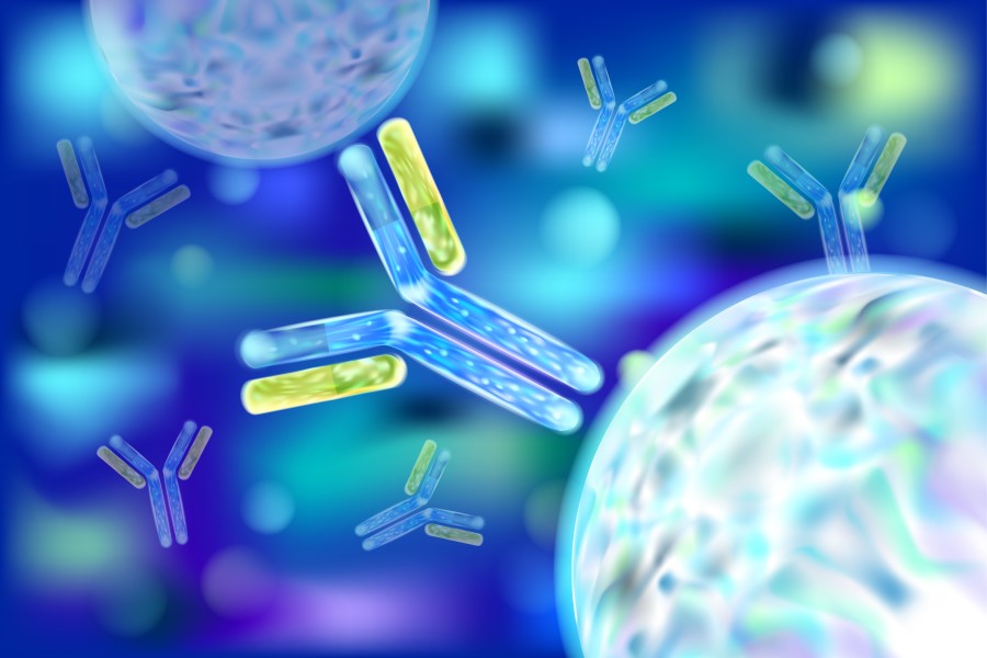 Grafika 3D immunoglobuliny.
