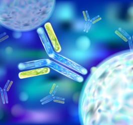 Grafika 3D immunoglobuliny.