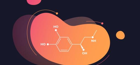 Wzór chemiczny adrenaliny.