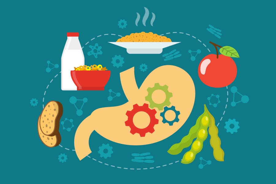 Jak poprawić trawienie?